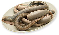 Ål
