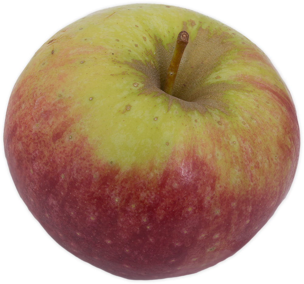 ble: Cripps Red