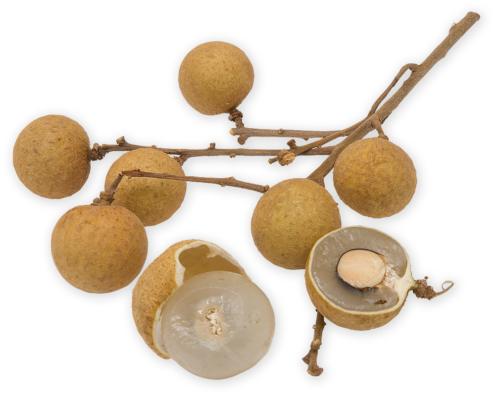 Longan