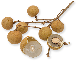 Longan