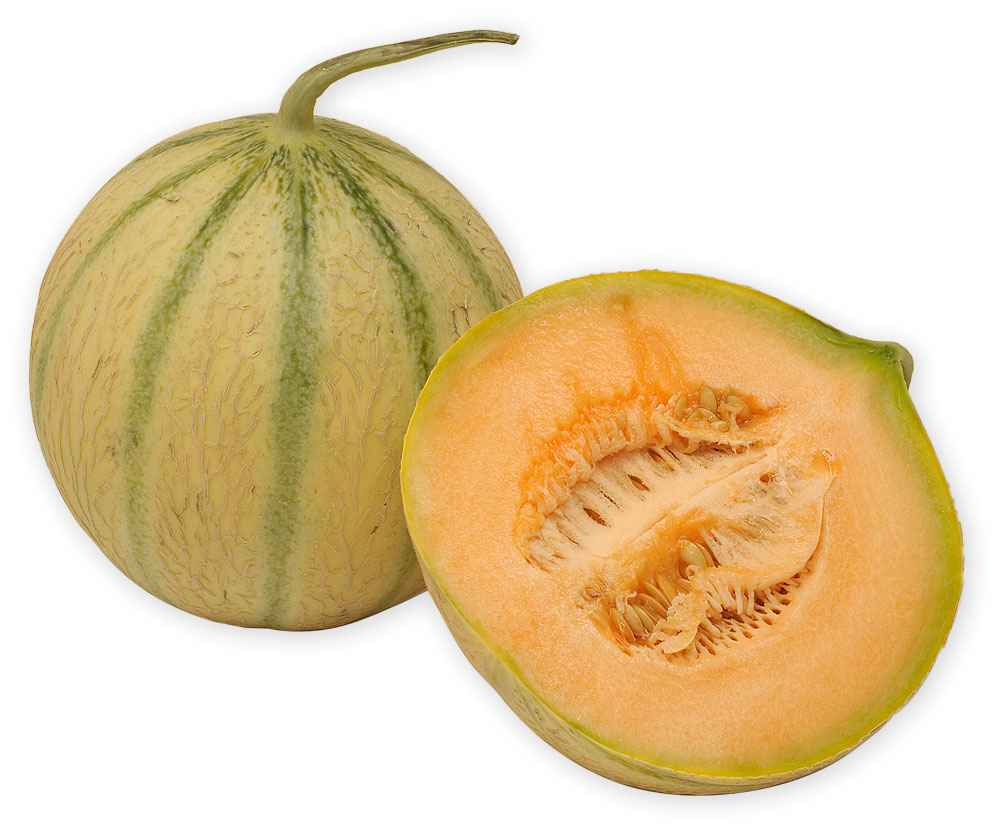 Charentais-melon