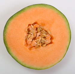 Cantaloup