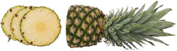 Ananas