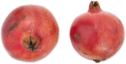 Granatæble