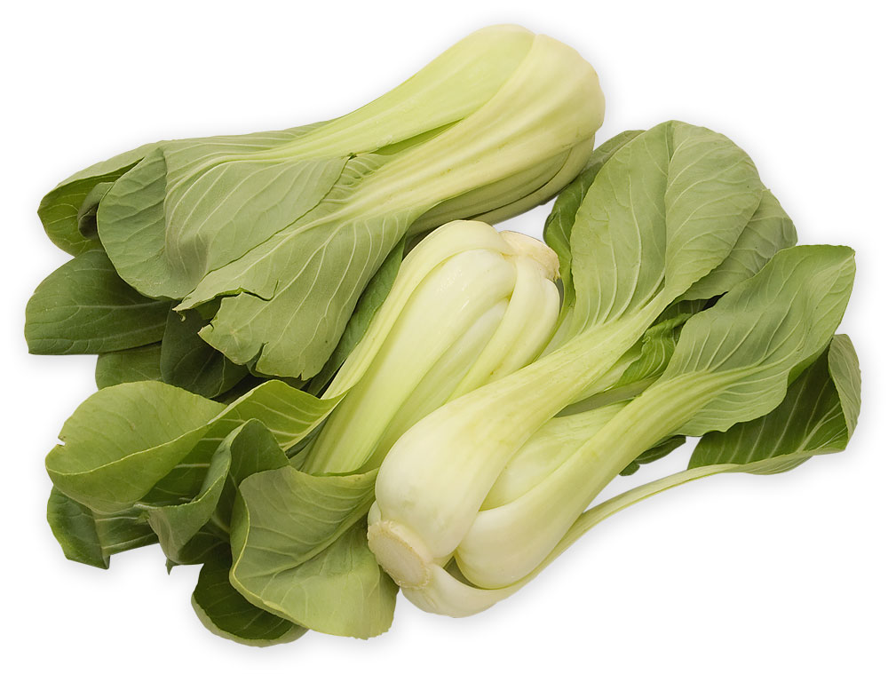 Bok Choy