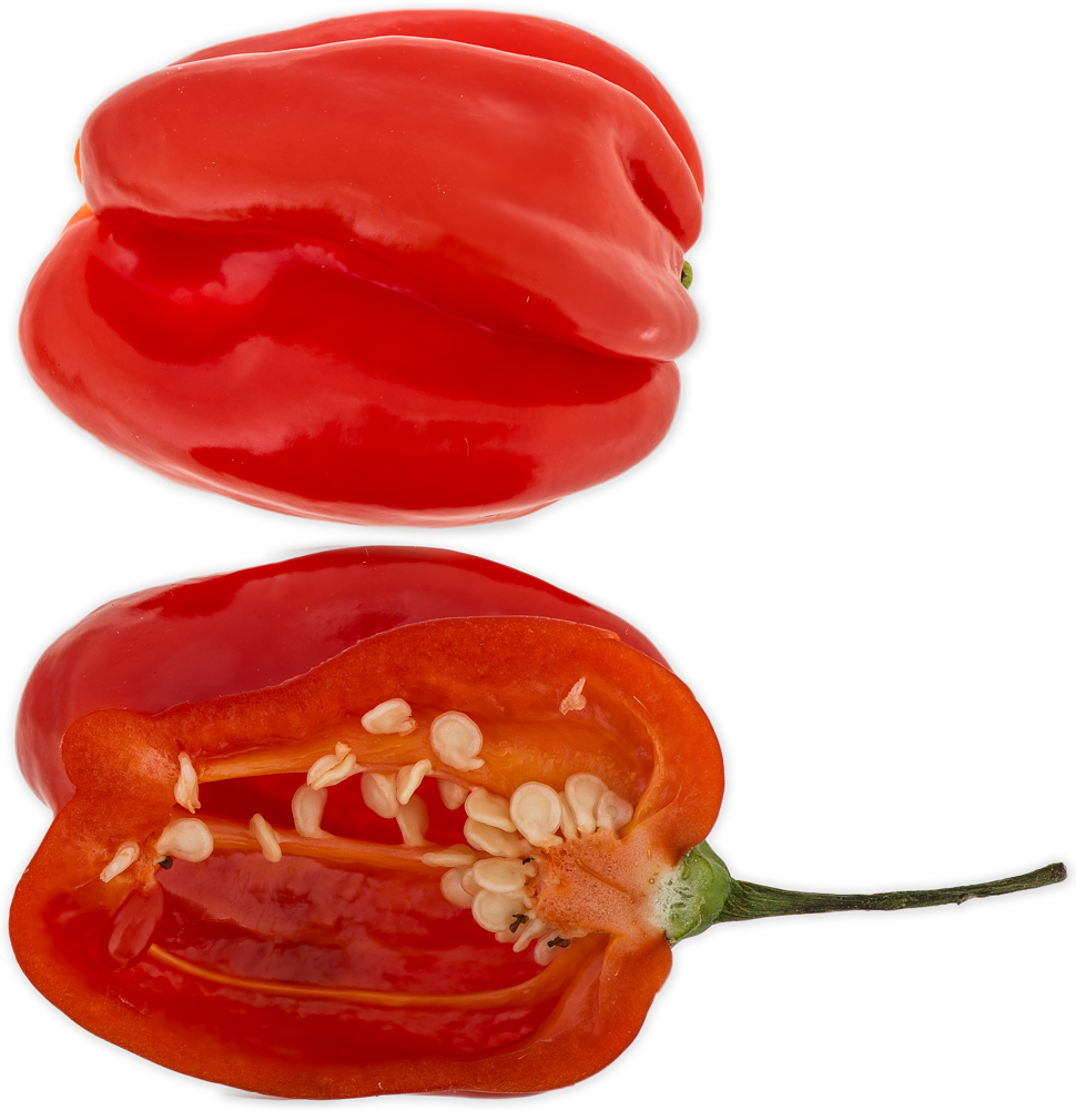 Chili: Habanero