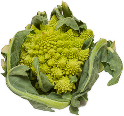 Romanesco