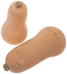 Squash, Butternut- (moskusgrskar)