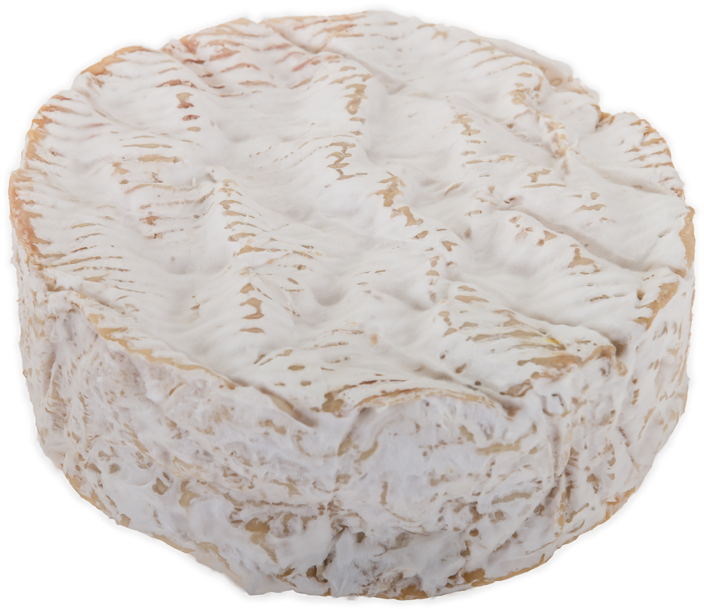 Camembert (Normandiet)